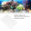 10Pcs Plastic Splicing Aquarium Filter Bottom Grid Plate Screen for Aquarium Fish Tank UseWhite 14