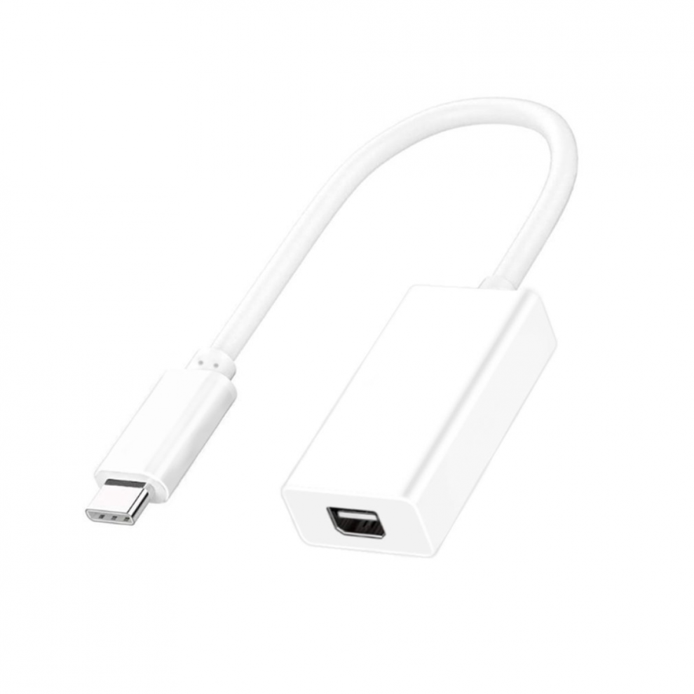USB-C Converter Cable-image-OPC-PHW92GM-NEW