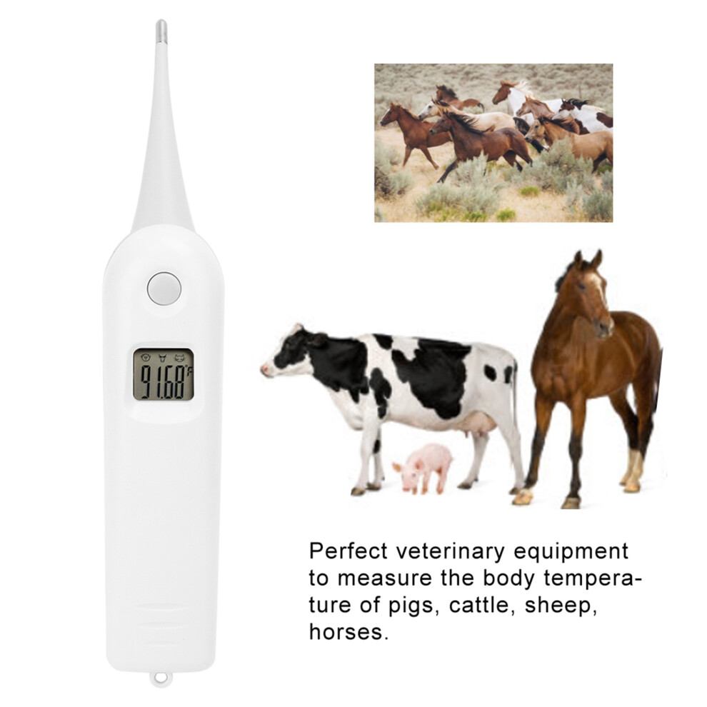Veterinary Electronic Pigs Cattle Sheep Thermometer Temperature Tester for Livestock