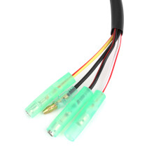 ATV Stator Magneto Coil Replacement Accessory Fits for Yamaha Blaster 200 YFS200 97-02
