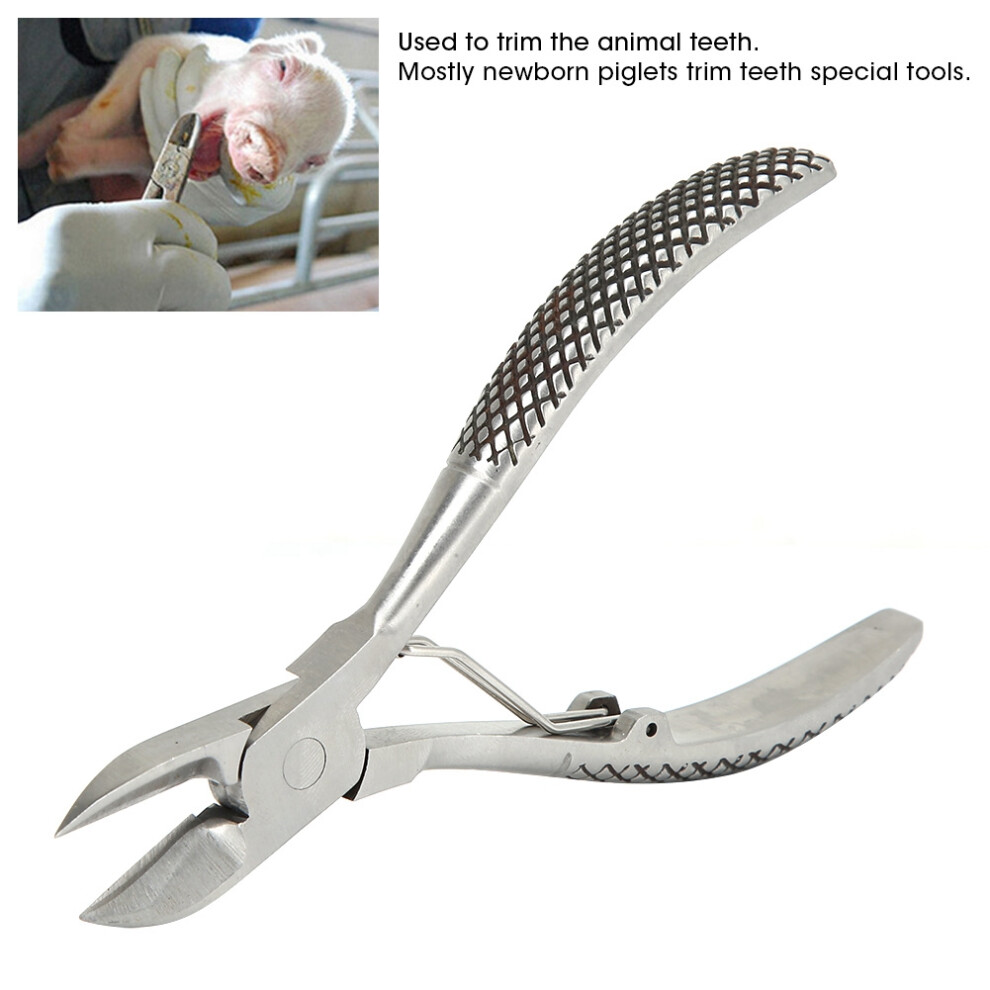 Stainless Steel Ball Spring Tooth Pliers Scissors Teeth Cut For Piglets Livestock Breeding Equipment 4691323815424