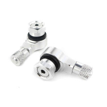 For BMW S1000RR S1000R S1000XR HP4 R1200RS G310R Motorcycle 2pcs Aluminum Tire Tire Valve Trunks Tubeless