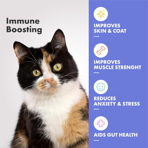 Multifit Cat Multivitamin Gummies - Vet Endorsed Plasma & Collagen 2