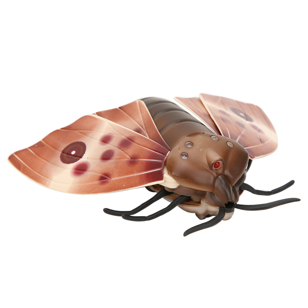 Remote Control Infrared High Simulation Insect Moth Kid Trick Playing Toy Prop 7901323868212