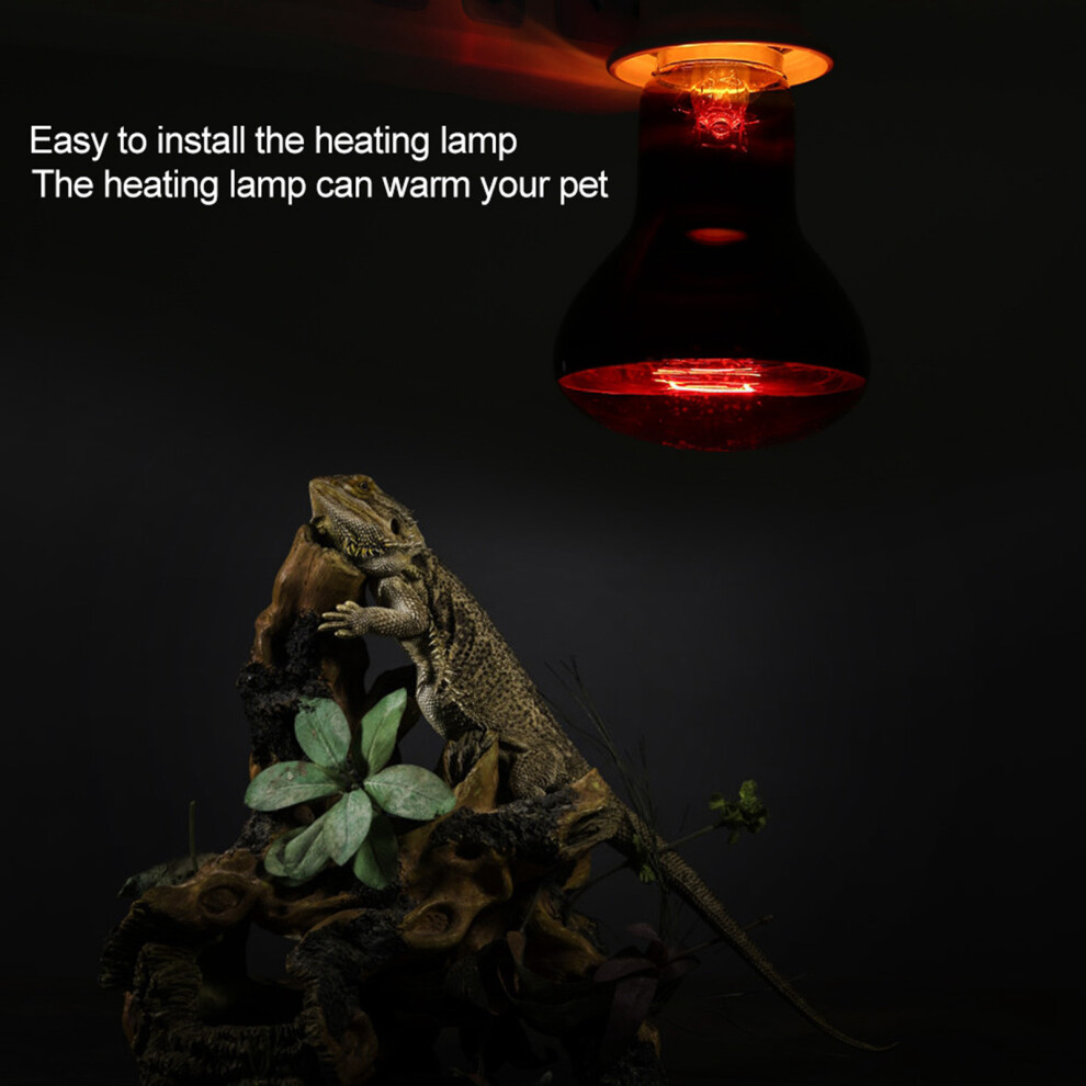 Durable Infrared Heating Warming Lamp Light Bulb for Reptile Pet Supply(25W)