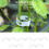 100Pcs Vegetable Fruit Tree Seedling Nursery Plastic Grafting Clips Plants Gardening Tools 10