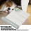 Electronic Pet Training Mat Scat Deterrent Shock Mat for Dogs Cats 9