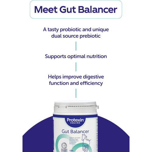 Protexin Equine Horse & Pony Gut Balancer, 700g, Advanced Digestive Support 1
