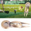 Multi Function Aluminum Alloy Golf Divot Tool Green Lawn Repair Fork Ball Marker 9