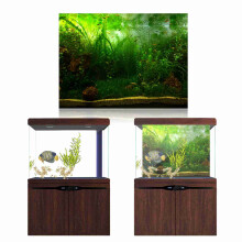 Superfish Dekorationsposter Aquarium Fischglas Hintergrund