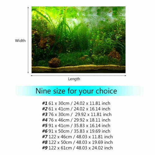 Superfish Dekorationsposter Aquarium Fischglas Hintergrund 1