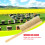 Soft Pig Bristles Beehive Bee Brush Beekeeping Cleaning Tool with Wooden Handle 5