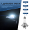 4 X H7 Car Headlight Bulbs 12V / 55W Halogen Standard Lamp Light 6