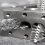 12Pc Wire Bore Brush Cleaning Set Stainless Steel 8