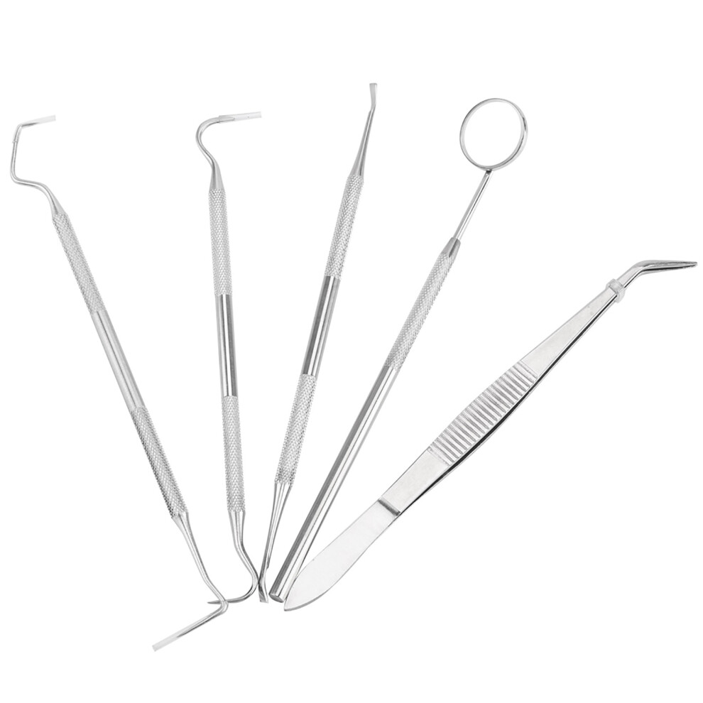 5Pcs Professional Stainless Steel Dentist Tools Set Dental Hygiene Cleaning  Kit
