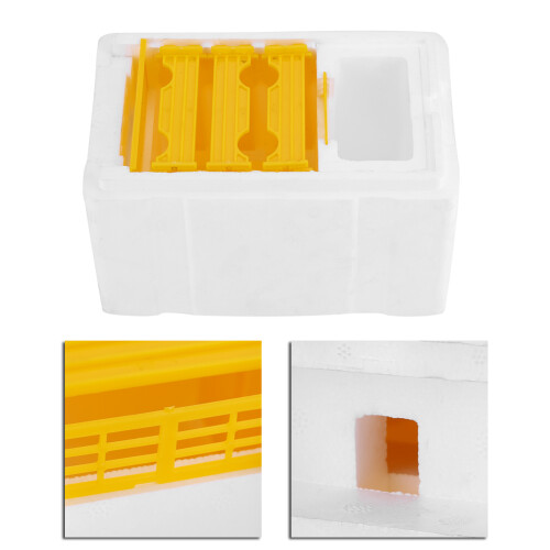 Harvest Bee Hive Beekeeping King Box Pollination Box Beekeeping Tool 2
