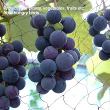 50 x 100FT Anti‑Bird Netting Garden Plant Fruit Tree Protect Sparrow Catching Mesh