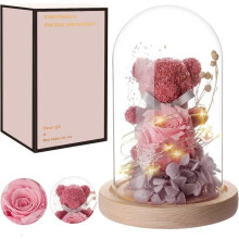 Ewige Rose in Kuppel, romantische Rosenbär-Kuppel mit LED-Lichtern, Hochzeits-, Geburtstags- oder Muttertagsgeschenk (Rosenbär)