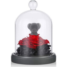Ewige Rose mit Teddybär – LECOO – Glaskuppel – Romantisches Geschenk – Elegante Dekoration – Muttertag