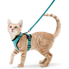 Zeeblauw Verstelbaar Katten-/Hondentuig S – Ademend Reflecterend Vest – Konijn, Europese Kat, Maine Coon, Perzisch –