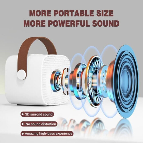 Karaokemicrofoon voor kinderen – HIFI – D20 – 4 geluidseffecten – Bluetooth – USB oplaadbaar 1