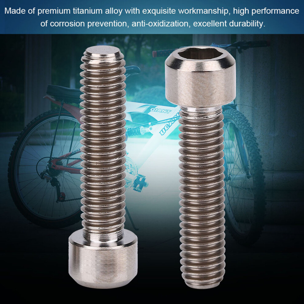 Risk 2Pcs M6 X 25Mm Screw Bolts For Mountain Cycle Disc Brake Caliper (Ti Color) 7891324286194