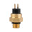 Fan Temperature Switch for 2-Stroke&4-Stroke Engines-0010033661 7