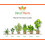Cherry Laurel Evergreen Hedging Plants Large 3-4ft Supplied in 3 Litre Pots 3