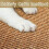 Natural sisal cat scratching mat, 40 x 60 cm, protects carpets and sofas. 3