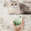 Reusable lint roller, pet hair remover, lint roller, for clothes, bed, carpet (green) 6