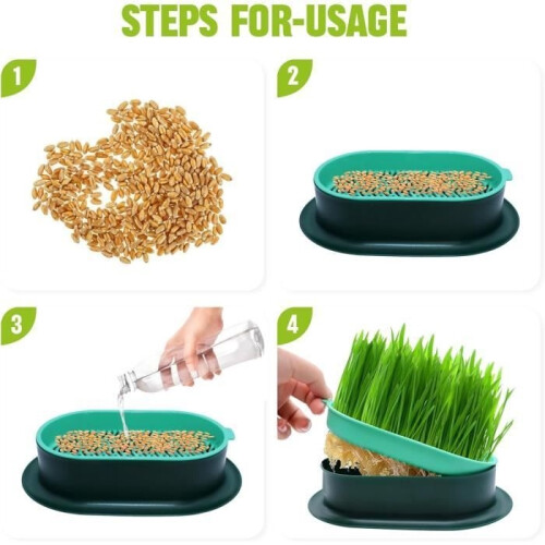 2-pack plastic catnip box, catnip grow box, catnip germinator, soilless hydroponic planter 1