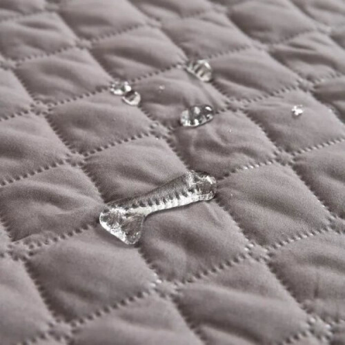 Waterproof dog blanket 100 x 127 cm, durable sofa and bed protector, non-slip blanket, light gray 1