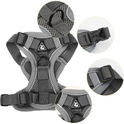 Dog harness (small, medium, large), anti-pull, reflective, with 1.5 m leash, for cat (S) 2