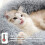 Round Soft Cat Bed - Calming & Stress Relieving Plush Mat, Comfortable Washable Donut Shaped Cat Bed - 40cm 3