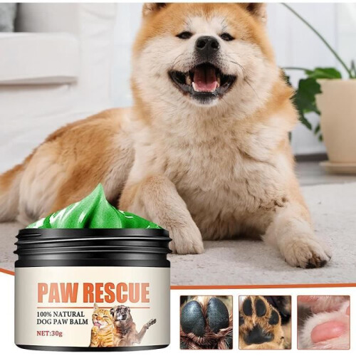 Dog Paw Balm – Effective and safe moisturizing balm for cracked paws 2