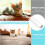 Anti-scratch cat bed protector, anti-scratch cat bed protector, anti-scratch cat bed protector 3