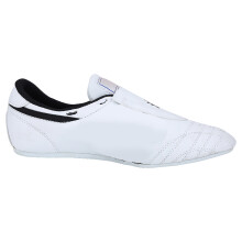Taekwondo Shoes Sport Boxing Kung Fu TaiChi Shoes for Men and Women Children (40)