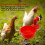automatic plastic drinking cups for poultry, chick and duck drinkers VHV 4