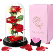 Eternal Rose Under Glass – LECOO – 3 Red Roses – LED Light – Gift Box – Home Decor