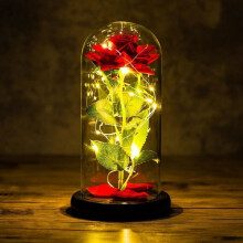 Eternal rose in a glass dome – LECOO – Red – Glass dome with LED lighting