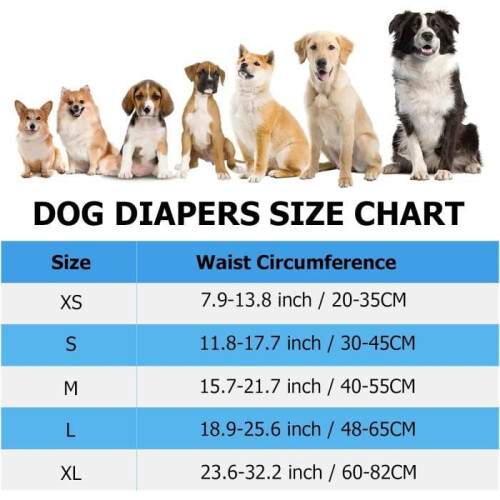 3-pack washable and reusable dog diapers - LECOO - size XS 1
