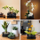 Kit Ikebana com sapo-flor de 2,1 polegadas, vaso de cerâmica, alisador de agulhas, base para vaso de flores e cavidade para limpeza 7