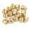 15 x Principal para N100/604 26mm 28mm VM22 VM24 VM26 VM30 1