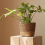 Rietvlecht Stro-Weving Bloempot Opslagmand - Wicker/Rattan - Groot 4