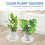 4 unidades de pires para plantas de 12 polegadas, bandeja para plantas mais grossa, vaso de flores para jardim 4