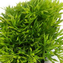 Künstliches Wassergras für Aquarium – 12cm grüze Kunststoffdekoration