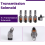 Kit solenoide trasmissione CVT 5 pezzi RE0F11A JF015E per Sentra Swift 2012-2015 9