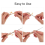 16Pcs Needle Felting Tools Poking Felting Needle Handles 5