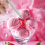 4Pcs Piercing Tools for Changing Jewelry 3