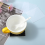 Plastic Mesh for Embroidery Plastic Canvas White Mesh 5